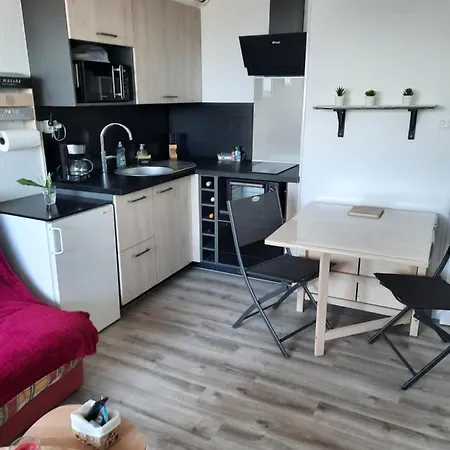 Appartement Vue Superbe Sur L'océan, Et Stationnement Saint-Jean-de-Monts
