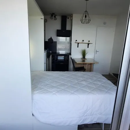 Vue Superbe Sur L'océan, Et Stationnement Appartement *